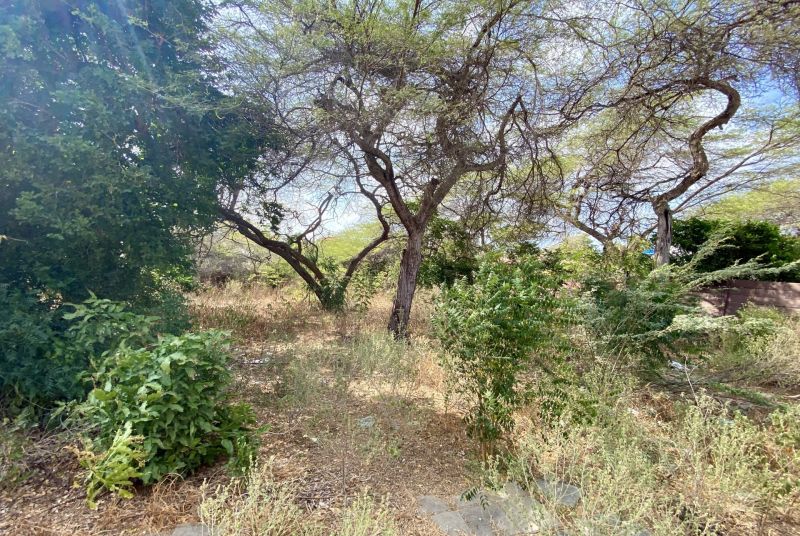 Property land Van Eekhoutstraat, Oranjestad